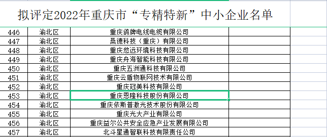 恩隆科技企业形象展示